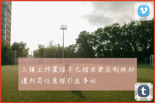 三镇主帅震惊不已绍尔禁区倒地却遭判罚任意球引发争议