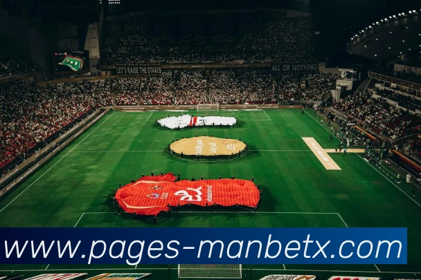 Manbetx体育APP 封面图